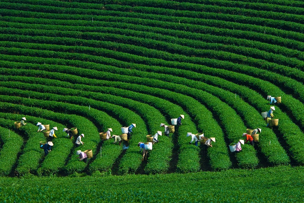 THAI NGUYEN TOUR 2 DAYS 1 NIGHT 